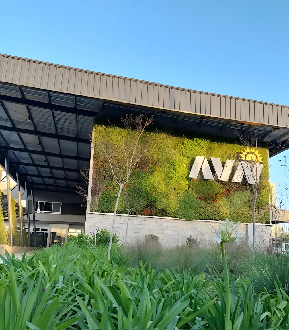 avn-10