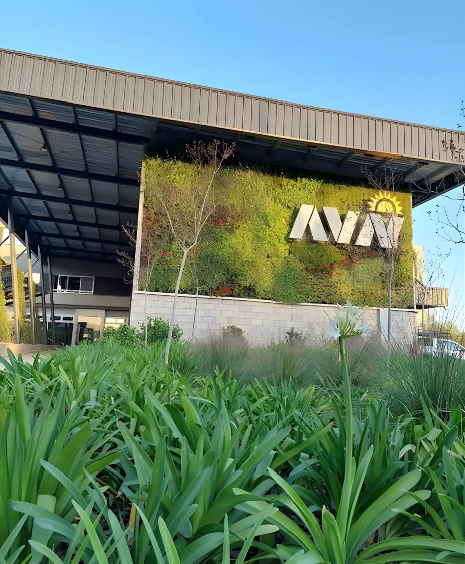 avn-18