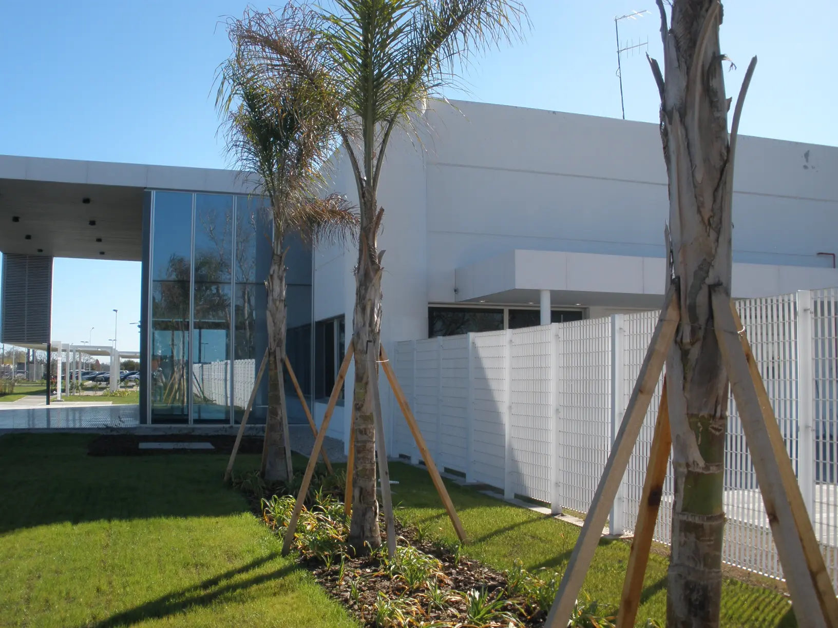 sc-johnson-pilar-17